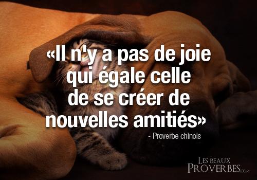 Les Beaux Proverbes On Twitter Il N Y A Pas De Joie Qui Egale