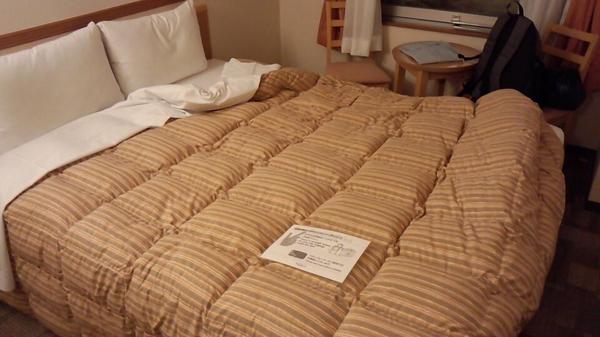 ソーシャルヒューマン tweet media