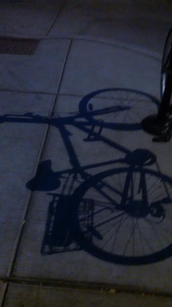 SoSaysKat's tweet image. Plato's bike #shadowriders #bikechi