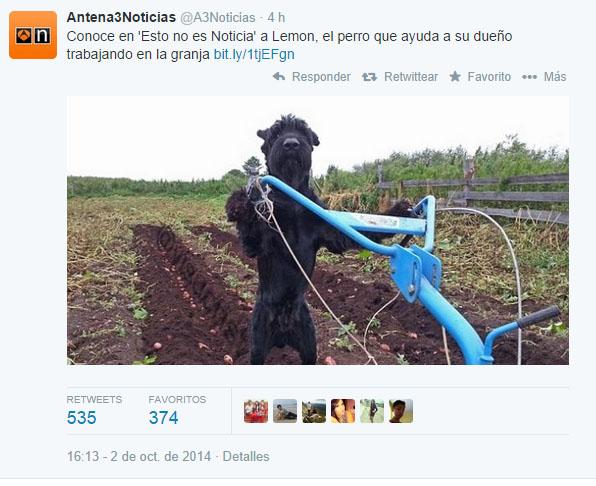 yisucrist's tweet photo. - kariño, vente a mi casa

- no puedo, tngo k cuidar d mi perro y d la granja

- estoy sola

- http://t.co/iCdJXf8HNa