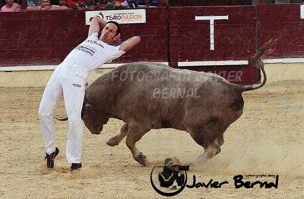 CONTENTO DQ UN PDAZO TORERO A CUERPO LIMPIO HYA VUELTO HOY A LA CARA DL TORO Y CN BUENAS SNSACIONES <a href="/cristianmoras90/">Cristian Moras</a>