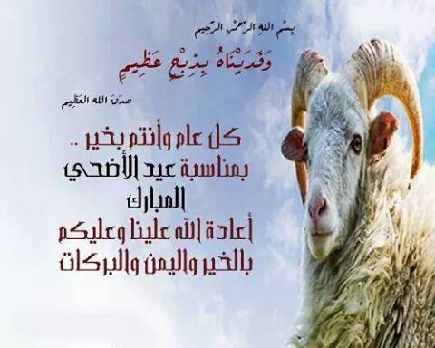 yousrab25's tweet photo. 3iiD mobarak LlaH YeDakhloo elinaa belkhir o bax makantmnaw انشاءالله ♥ http://t.co/Mapzp2EIaH