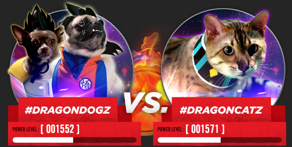 The cats are leading, but the dogs are closing in! Who'll win Waggin' Ball Z: Battle of Pets? funi.to/1mywdNd