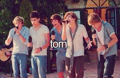 You're a little late, I'm already torn. #4YearsOfOneDirection #4yearsoftorn