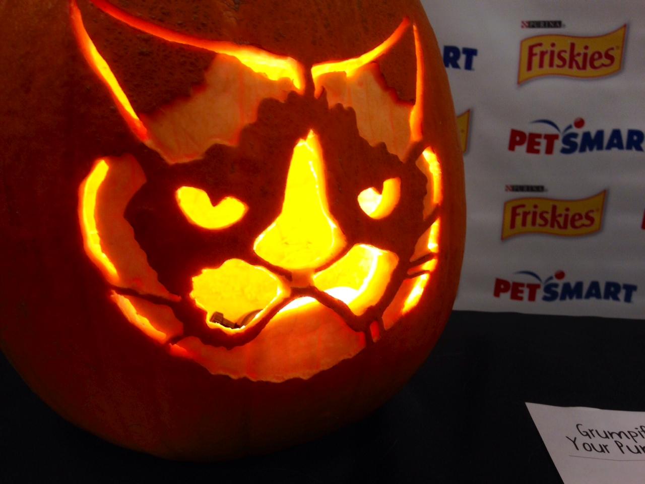 fox-10-phoenix-on-x-check-out-the-new-grumpy-cat-jack-o-lantern-stencil-http-t-co-kyyznrzady-x