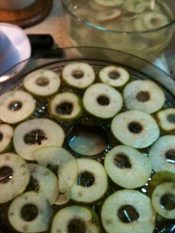 enbikelopedia's tweet photo. Dehydrating foraged comice pears #FoodPreserver http://t.co/fo6Ih80a0E