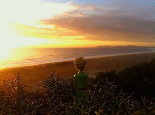iPrincipito's tweet photo. ¡Un día vi al sol ocultarse cuarenta y tres veces! http://t.co/cdDvEqPxue