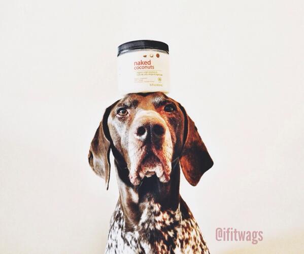 NakedCoconuts's tweet photo. #TBT when one #ThePointerBrothers wore our coconut oil on its head. Genius @itwags! http://t.co/7FWkbNuetT