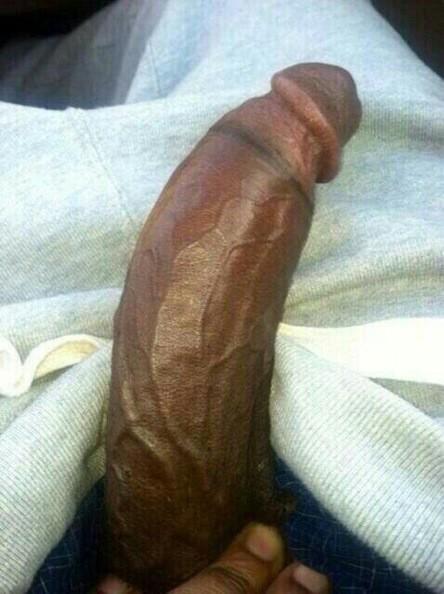 Käyttäjän black dick pics twiitit.