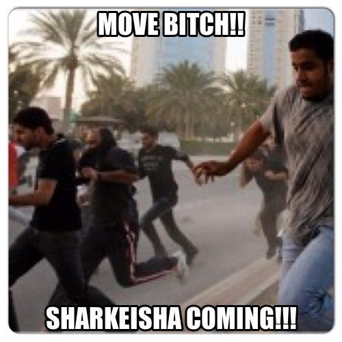 MiniVan29's tweet image. @willyyyyy_13