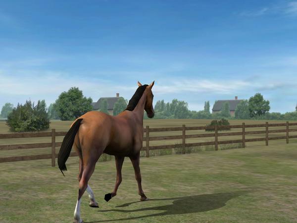 MyHands_HisGift's tweet photo. Check out my photo! Add me, GaudyHonor611. #MyHorse  http://t.co/yNem6s771V http://t.co/26jpbNaPgd