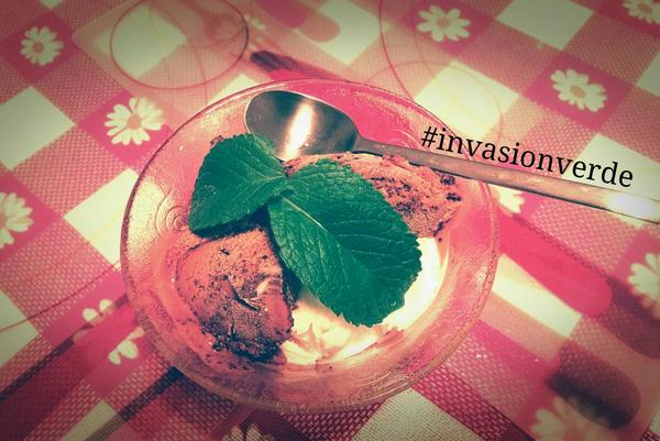 invasionverdeAR's tweet photo. Menta fresca de tu huerta para el helado! :D #felicidad #invasionverde #maceta #autoriego http://t.co/brw5h3kiKL