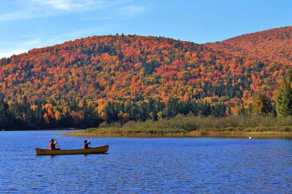 insidequebec's tweet photo. Laubfärbung in #Québec auf dem #Höhepunkt! Der #Nationalpark #MontTremblant nahe #Montreal scheint in allen Farben! http://t.co/OK54QkSicU