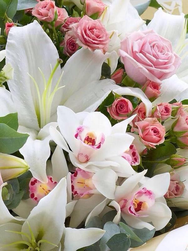 lovemegmail's tweet photo. @a7abak2 http://t.co/6ZskpBo5Tj