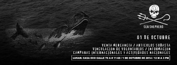 SeaShepherd_CO's tweet photo. Mañana estaremos en CASA ECO -Cll 70A 11-60-. Venta de mercancía, inscripción de voluntarios y demás. ¡Los esperamos! http://t.co/Nn0xvQ8Zye