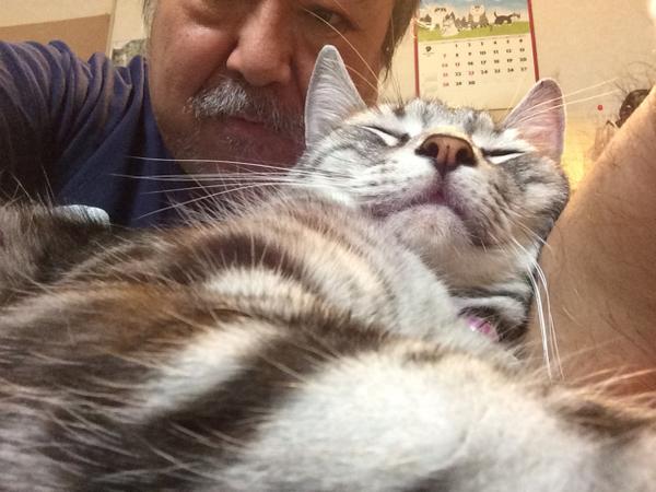 Kkatosun's tweet photo. 久しぶりの更新。朝起きて、猫が寄ってきて、生意気に俺の腕枕で爆睡。あまりに良く寝ているのでその間動けず。風邪で鼻水は出て来るは腰は痛いわた〜いへん！ http://t.co/7679r21Mzh