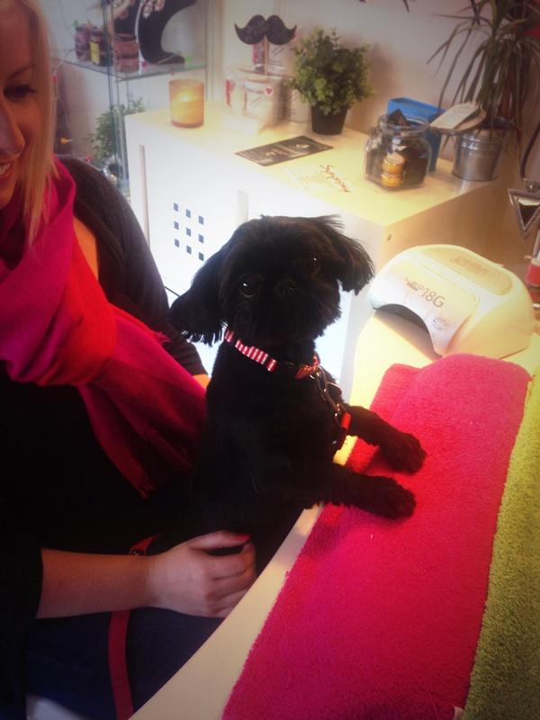 Cute Doggy Mani! #Doggy #nails #Cheshire #sandbach <a href="/PaulOGradyShow/">Paul O'Grady Show</a> #manicure #manicure