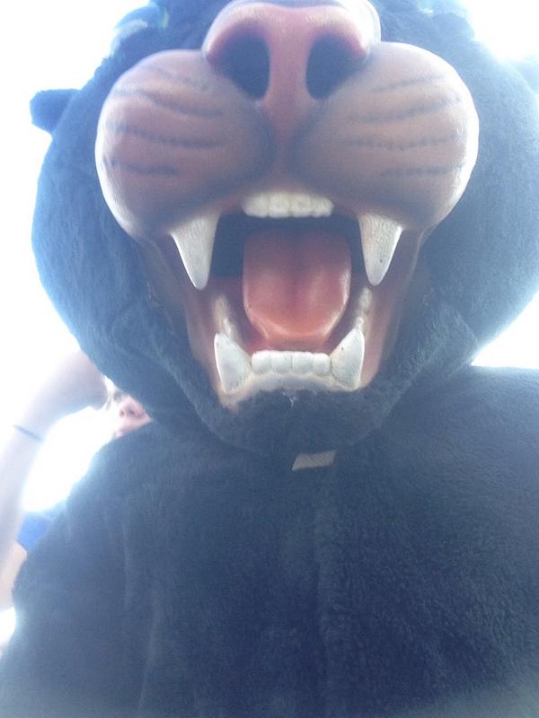 PHS_MASCOT's tweet image. Nice win for park hill south swim today against park hill. Another win for the panthers. 🏊🏊🏊