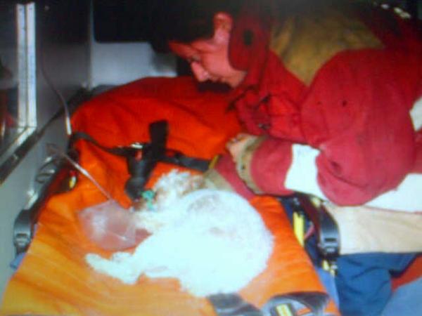 Vucema's tweet photo. Bomberos en San Cristóbal Tàchira salvan familia y salvan a sus mascotas 3 gatos 2 perros de un incendio en apto. http://t.co/hiTHoBcvvE