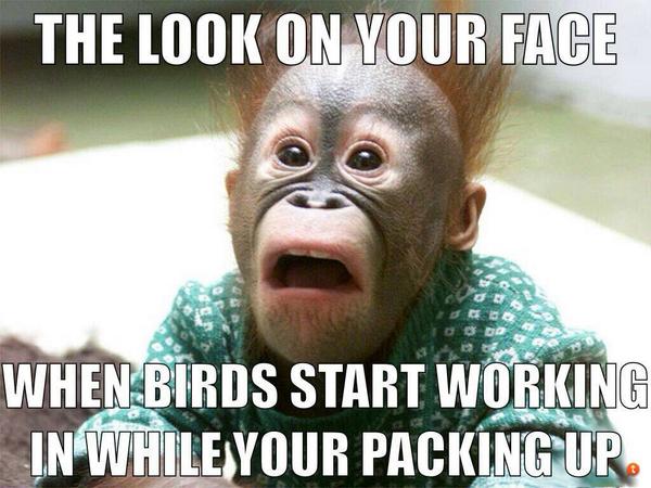 Guidefolio's tweet image. I know the feeling too well!