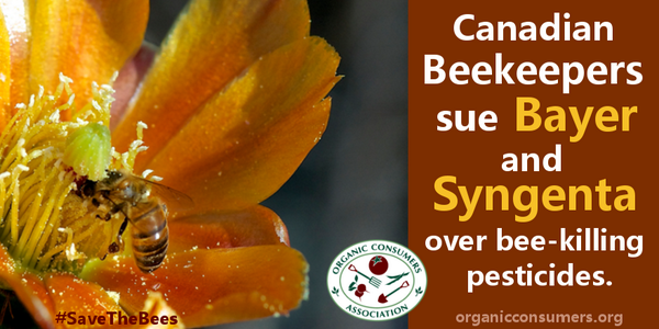 Organic Consumers Association tweet media