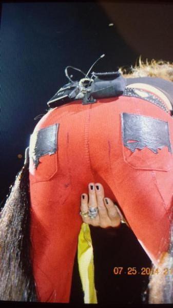 ErvolinaTammy's tweet photo. Curious @IamStevenT #AskStevenTyler adlib or scripted"BeCool"Iluv how those legs go up&amp;make an ass out of themselves? http://t.co/RQ1uh9abtZ