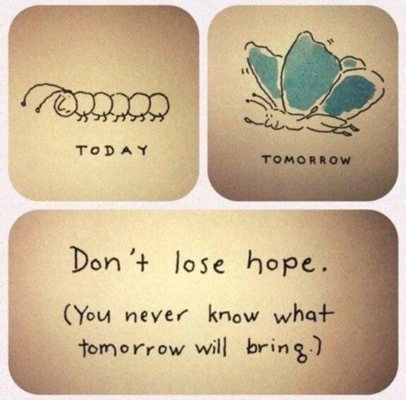 reyessbaby's tweet photo. Nunca pierdas la esperanza....Feliz martes a tod@s! ❤️❤️❤️❤️❤️❤️ http://t.co/xh0t25PPCe