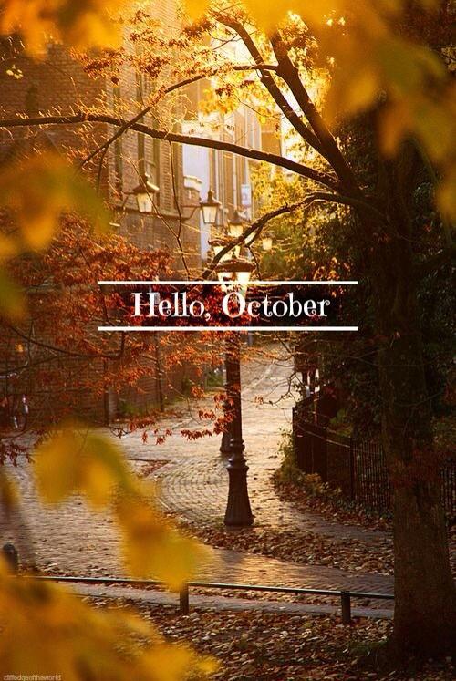 lovemybody_moda's tweet photo. Sürprizlerle dolu yepyeni bir ay bizleri bekliyor. Bol şans!
#lovemybody #october #splendidwinter #LMBkışsezonu http://t.co/tFm5KApUvL