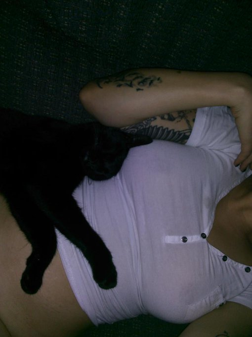 Waching tv with the kittys http://t.co/QsC4k1tSkD