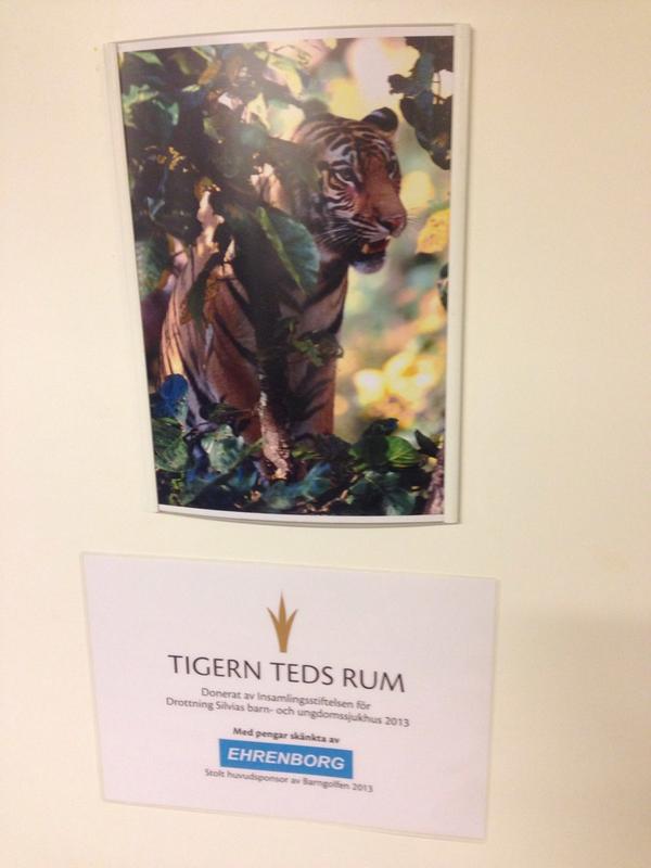CarinHj_'s tweet photo. Tigern Teds Rum @Barngolfen #ehrenborg #huvudsponsor #happinessheals http://t.co/key72Wx3Ka