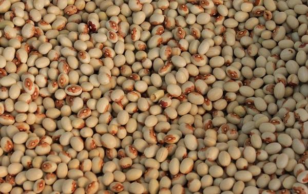 muyenforma's tweet image. ¿Sabías que comer legumbres ayuda a bajar los niveles de colesterol? Te explicamos todo aquí ➜ muyenforma.com/legumbres-cole…