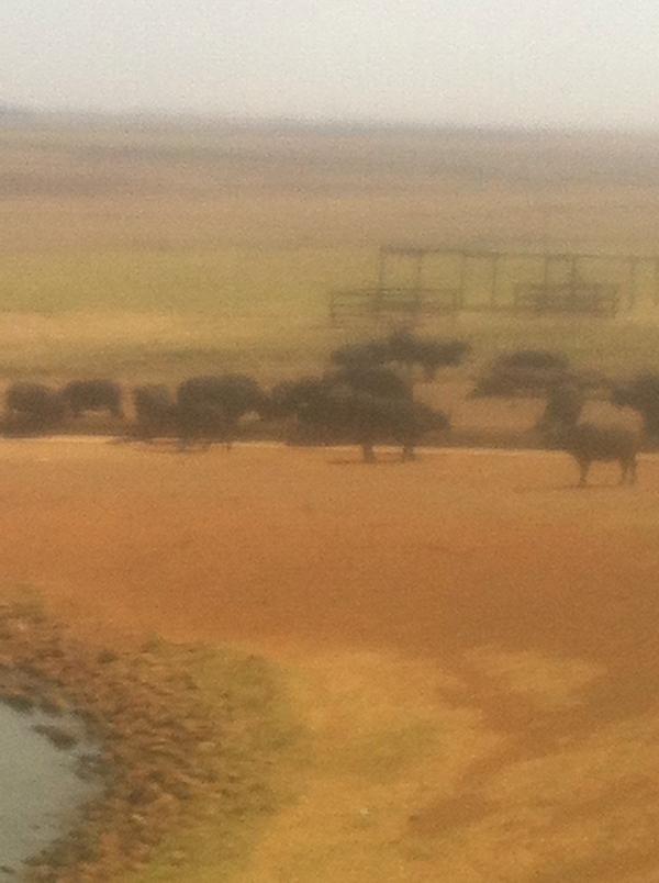 aphneym's tweet image. 