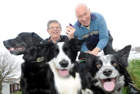 CornwallCouncil's tweet photo. We are offering free dog microchipping events in Cornwall this October with @DogsTrust: http://t.co/z9Y7BhQks9 http://t.co/jQyaaGcIdy