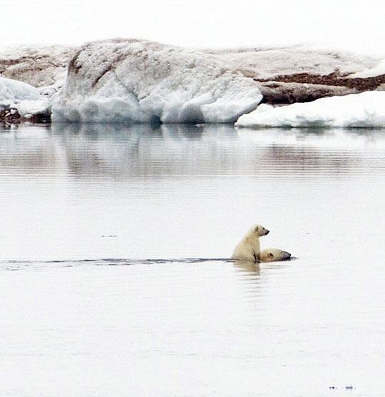 NatuPictures's tweet photo. Sube que te llevo! http://t.co/mnrv2kLQUm