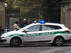 Telepavia Web tweet media