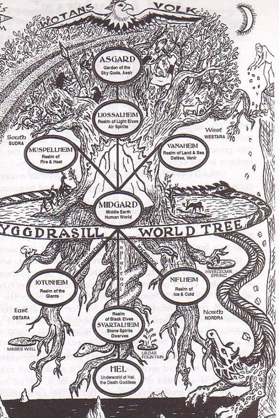 bonniegrrl's tweet photo. Some family trees are more impressive than others... http://t.co/xGofFl0OOZ