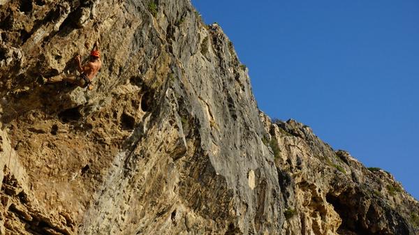 KartuPos tweet media