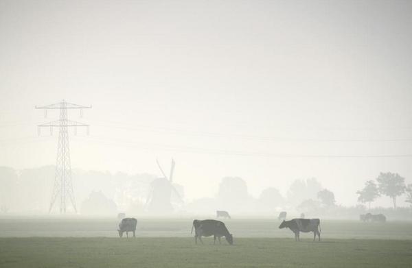 BuienRadarNL's tweet image. RT @AnnaZuidema: Friesland gehuld in mist!