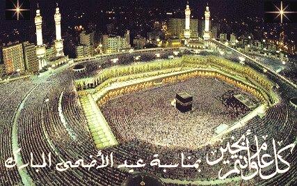 7odanet tweet picture