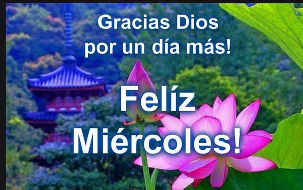 anna49cecy's tweet photo. @nicolasibarra2 @evemarian33 @andreza_bentes @DanisaMeza @luzlibra13 @PamelaInesza @EuridiceGuerra #BuenMiercoles
💜🙏💜 http://t.co/W6m76chieb