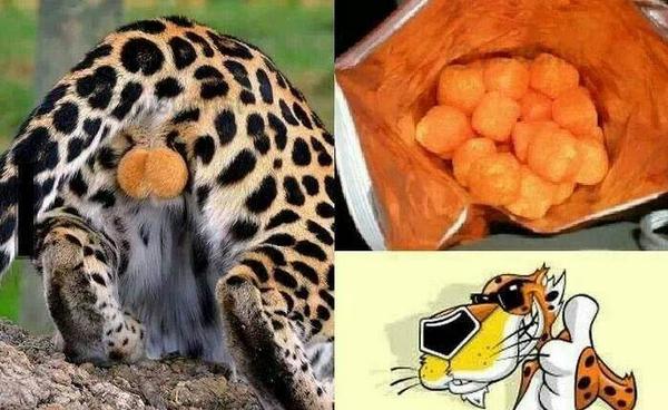 yisucrist's tweet photo. mi puta bida ya tiene sentido http://t.co/x1889IfR8n