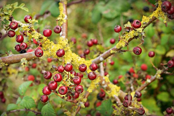 loyolapress's tweet photo. Where do you find God in the changing seasons? http://t.co/nxszXgEcVN #PicturingGod http://t.co/QNONMsCGoi