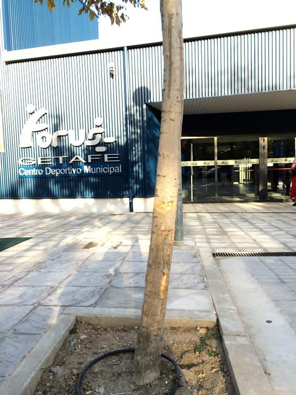 _joselobo_'s tweet photo. Nuevo templo!!! #forusgetafe 💪💪💪 http://t.co/tUSb8gtM0G