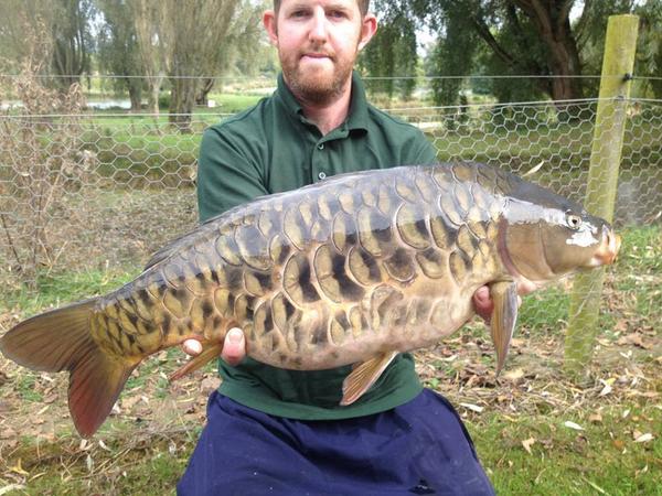 Outrageously good looking Carp! Tony Campbell has outdone himself yet again!