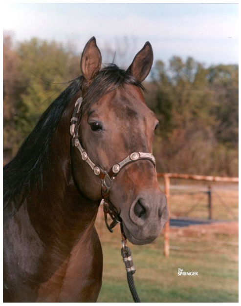 JudLittleRanch tweet picture
