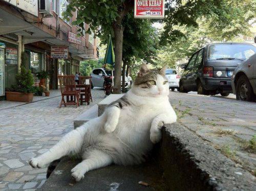 Gzachte's tweet photo. sup http://t.co/wMkOrAEn1O