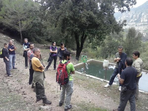 SerraLlaberia's tweet photo. Jornada tecnica @LandLifeEU Custòdia del territori per a la conservació d'hàbitats a Serra de Llaberia #landlifeweek http://t.co/bSGxas5ezJ