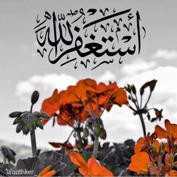 Ali14K tweet picture