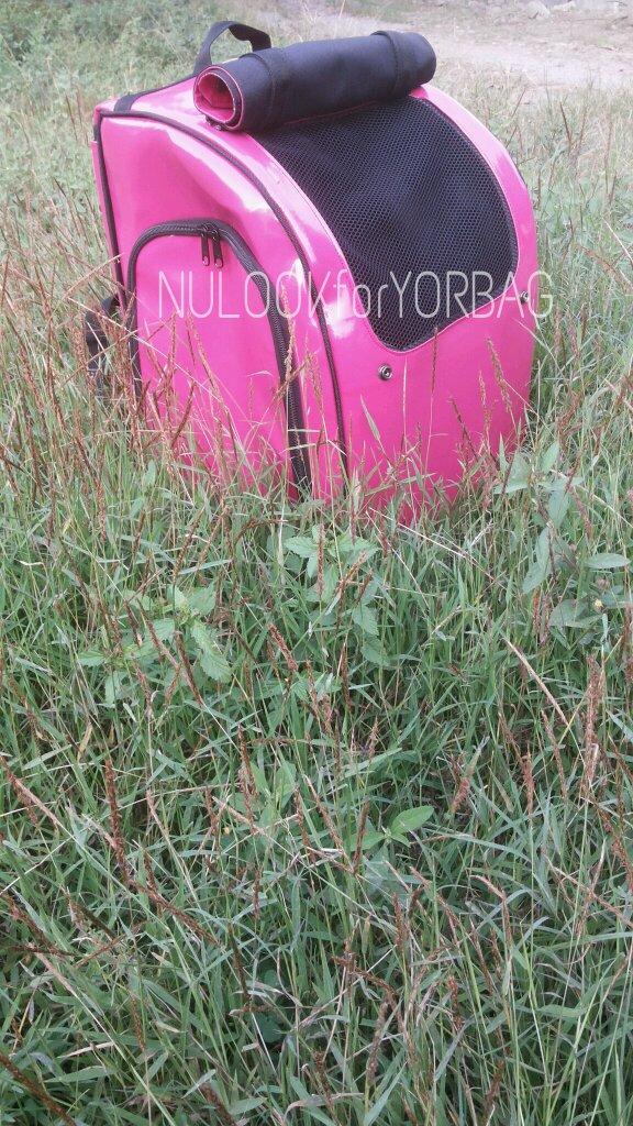 Ini pict nya no filter. Kualitas barangnya emg oke. Pet carrier only 165.000