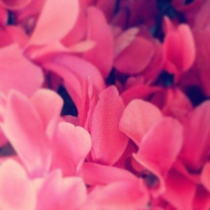 #OctubreRosa Mes de la lucha contra el cáncer de mama. Prevenir es amar la vida <a href="/LalcecArgentina/">LALCEC Argentina</a> #regram <a href="/mlulivilla/">LoveLife♥</a>